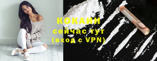 прущие грибы Богданович
