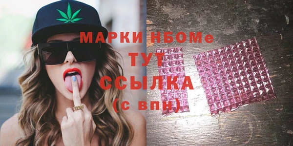 прущие грибы Богданович
