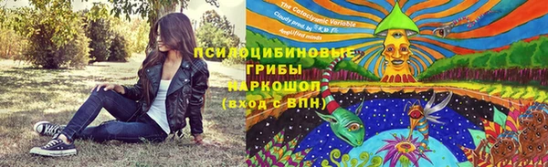 мескалин Богородицк