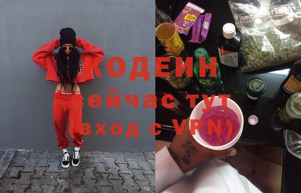 прущие грибы Богданович