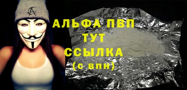 прущие грибы Богданович