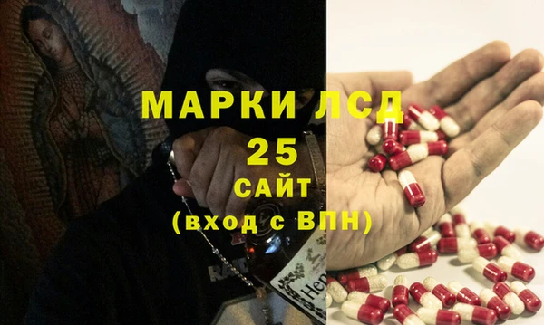 прущие грибы Богданович