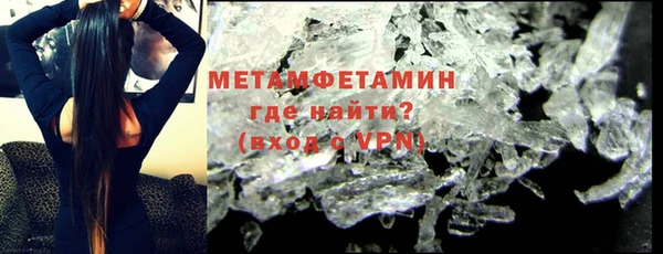 прущие грибы Богданович
