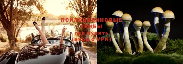 таблы Богородск
