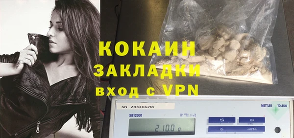 прущие грибы Богданович