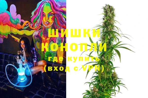 прущие грибы Богданович