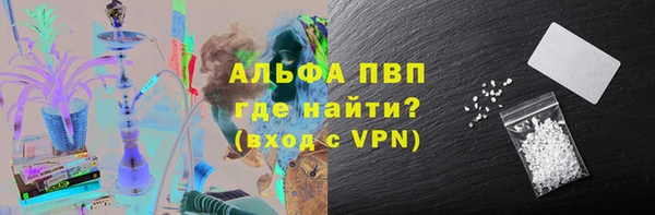 прущие грибы Богданович