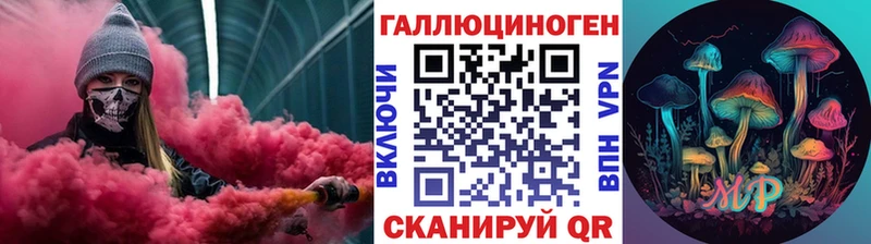 Псилоцибиновые грибы Psilocybe  где можно купить   Кириллов 